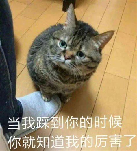 正咩意思